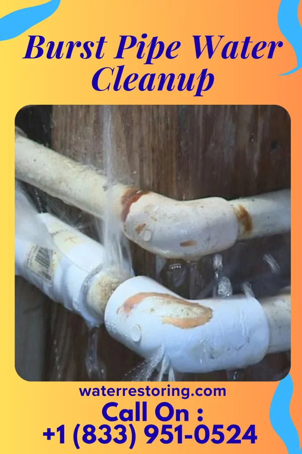 Burst Pipe Water Cleanup in Wendover, UT