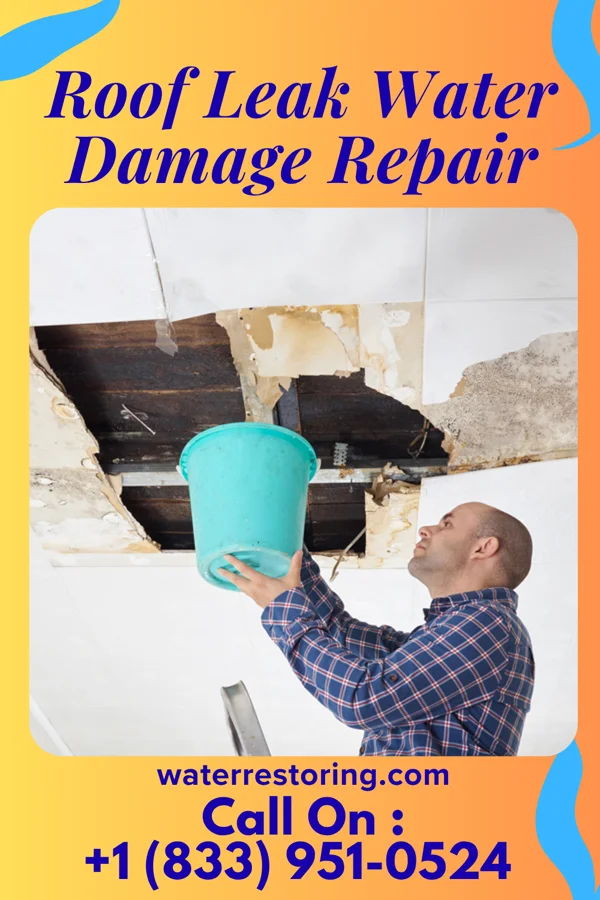 Roof Leak Water Damage Repair in Wendover, UT
