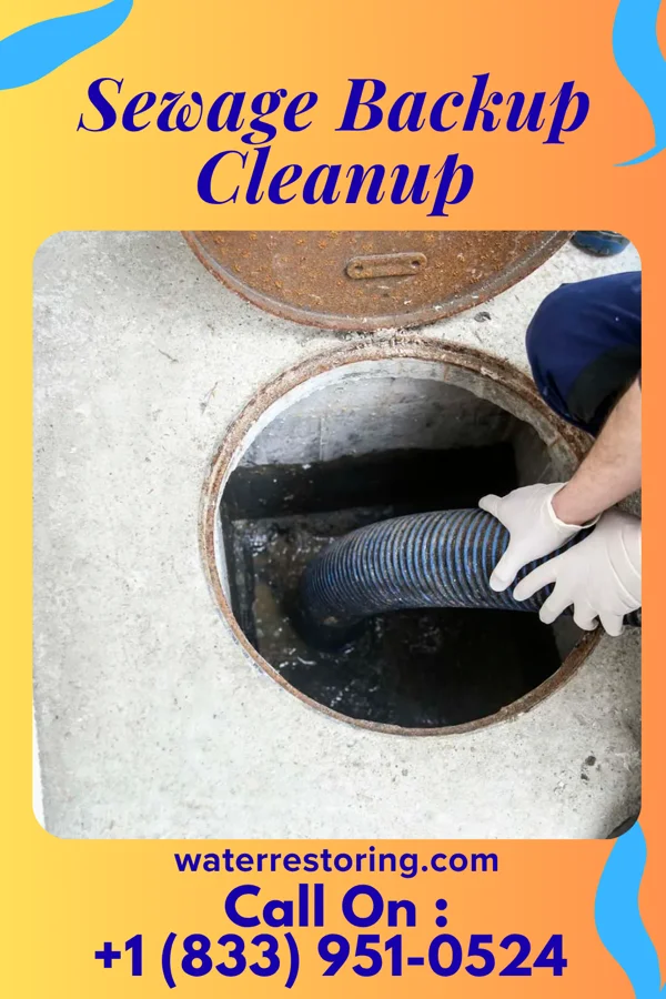 Sewage Backup Cleanup in Wendover, UT